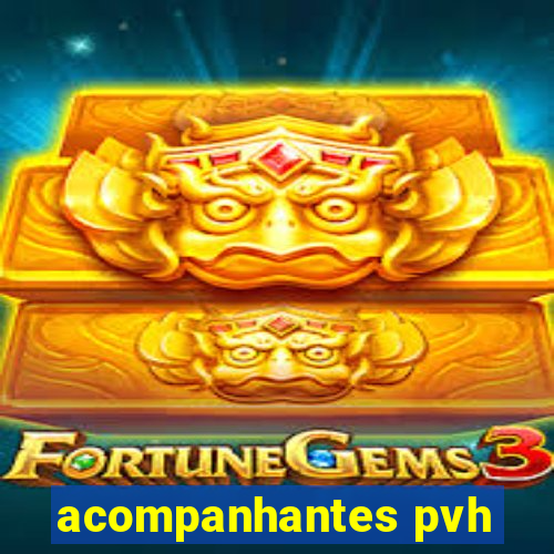 acompanhantes pvh